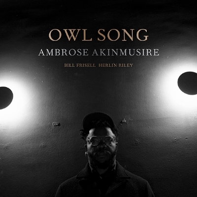 ambroseowlsong