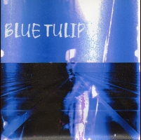 BlueTulip