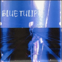 BlueTulip